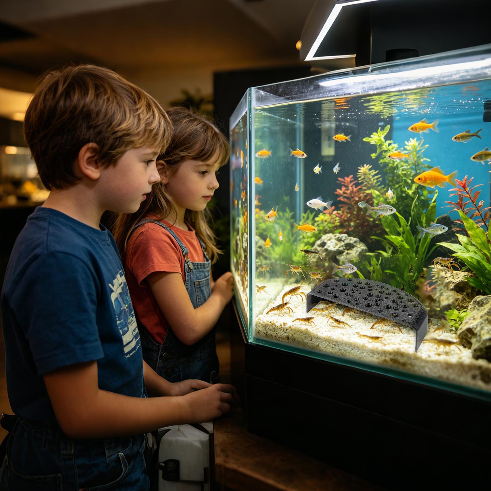 Ornamento Aquático para Descan - Aquatic Zone avaliação e preço